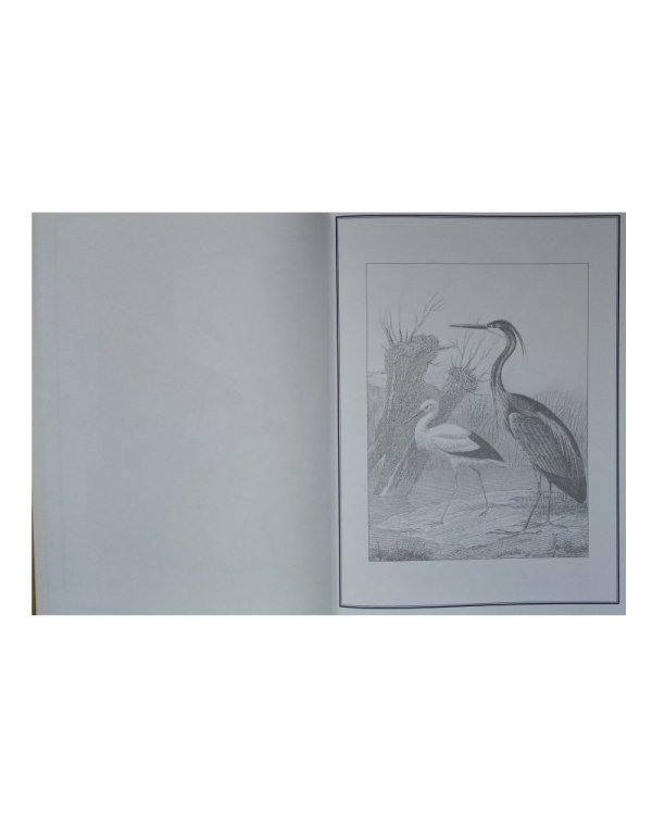 Твори, раскрашивай, вдохновляйся. Комплект из 6 книг (количество томов: 6)