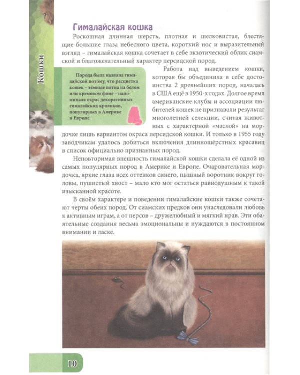 Все о кошках