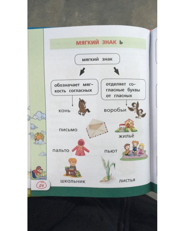 Все правила русского языка в картинках, схемах и таблицах