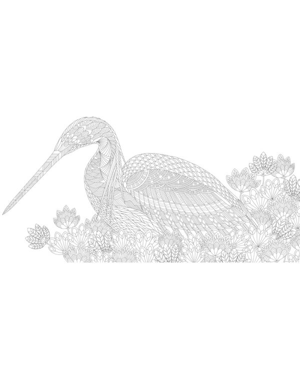 Дивные птицы. Книга для творчества и вдохновения