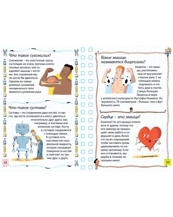 Тело человека