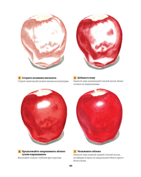 Школа художника.Рисуем реалистичные картины цветными карандашами.Пошаговые уроки
