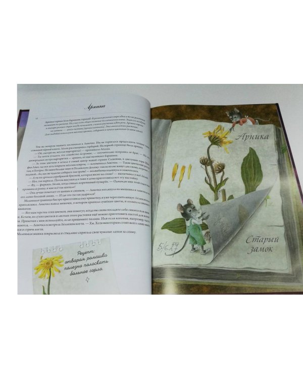 Волшебная книга полезных трав