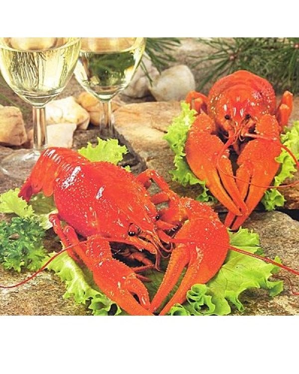 Блюда с вином