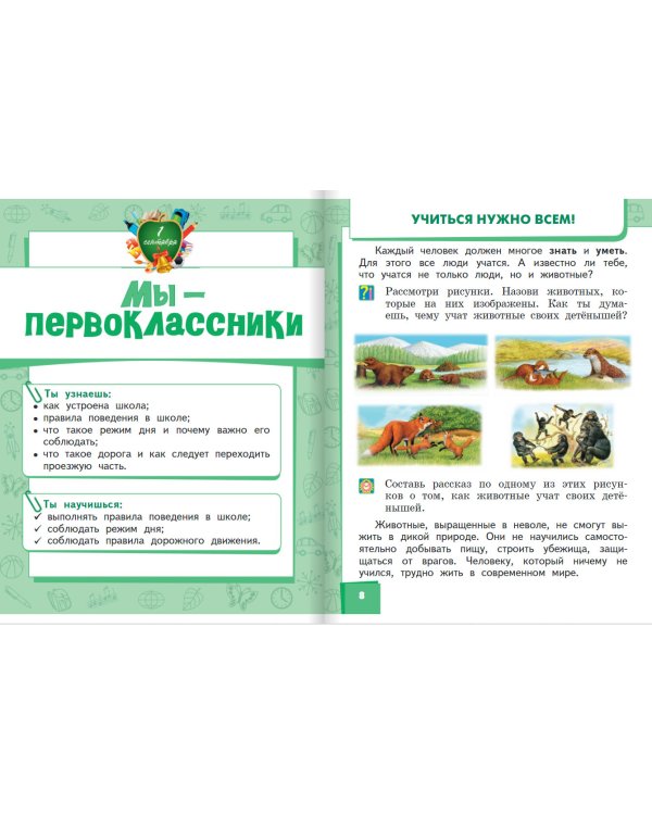 Окружающий мир. Учебник. 1 класс