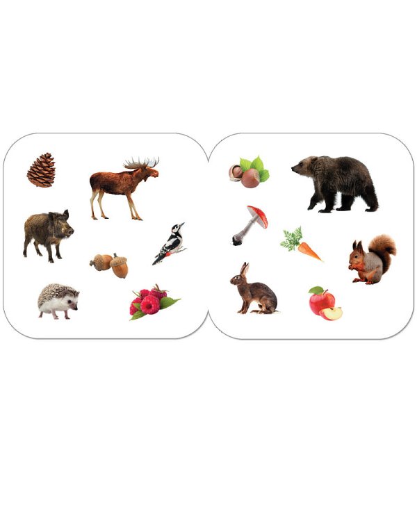 Лесные животные