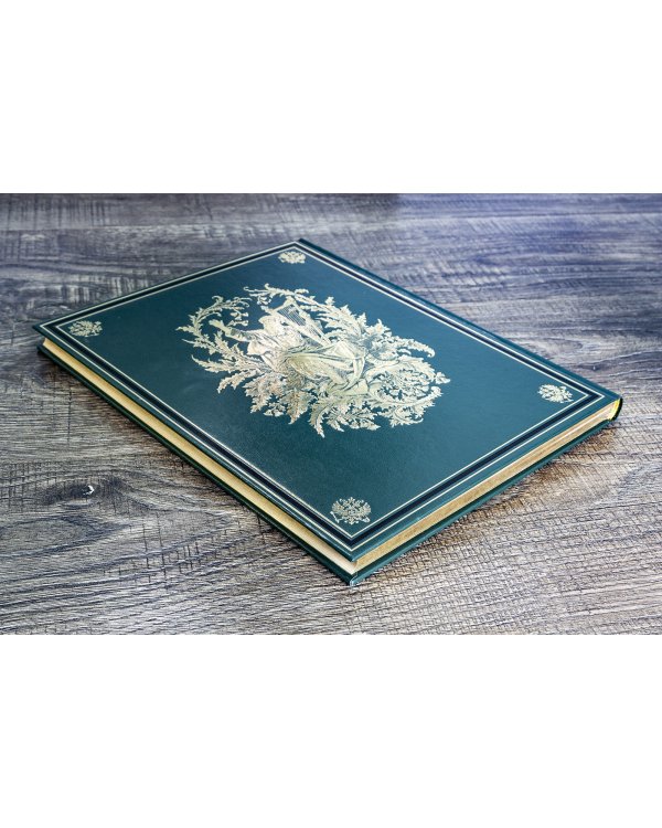 Русские сказки и былины