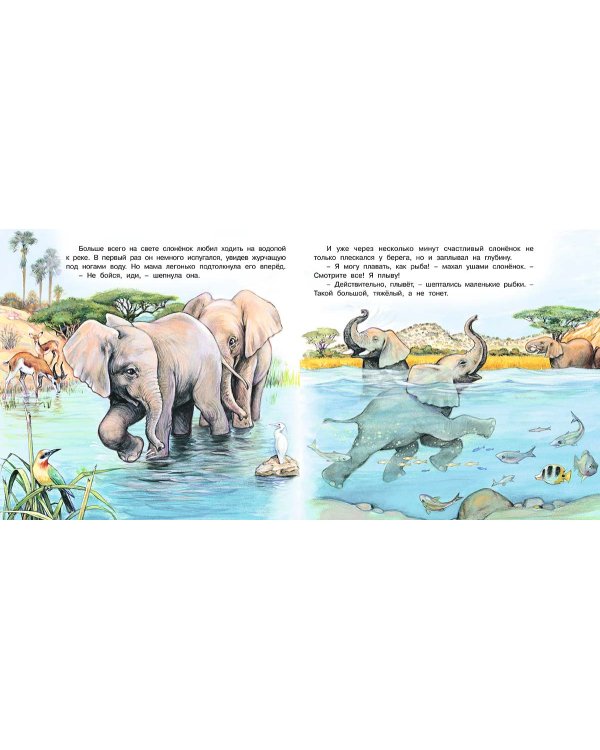 Приключения слонёнка