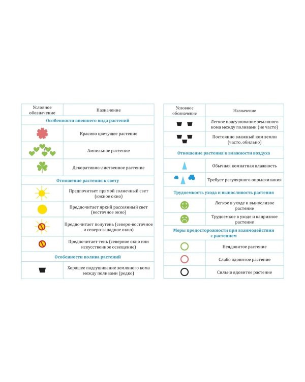 Комнатные растения и модели ухода за ними.Картотека предметных картин.3-7л.