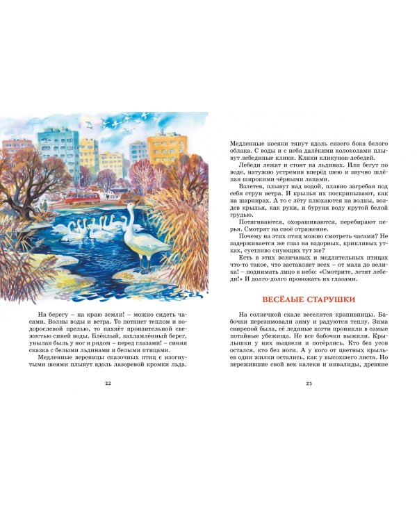 Лесные тайнички