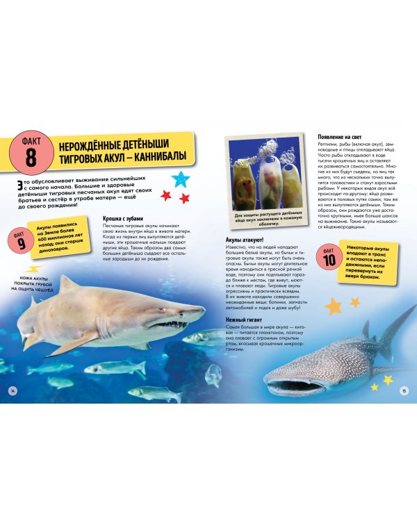 Всё об окружающем мире с научной точки зрения