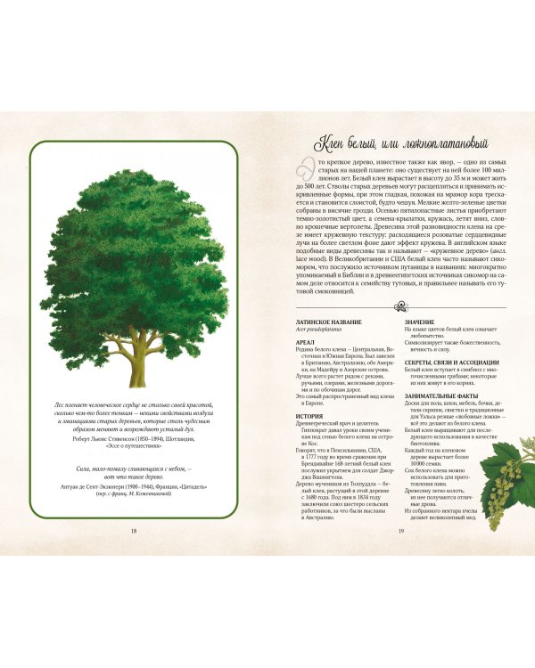 Тайный язык деревьев