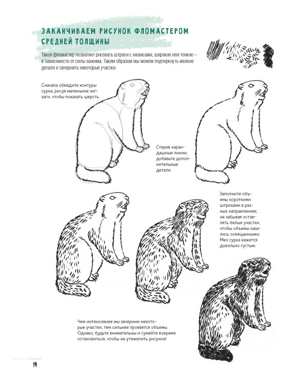 Создаем наброски животных и птиц шаг за шагом:50 проектов с подроб.объяснениями