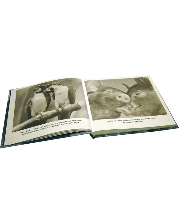 Друзья навеки. Подлинная ценность дружбы