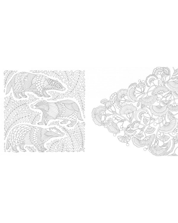 В волшебном лесу.Книга для творчества и вдохновения (0+)