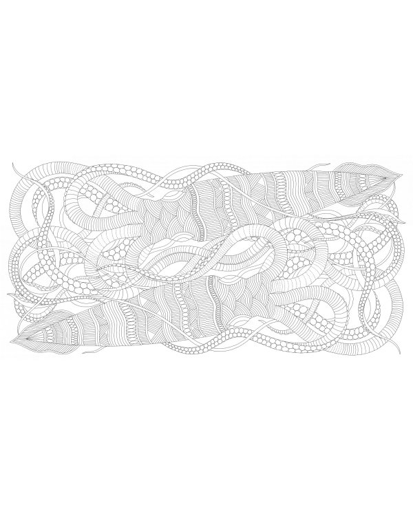 Божественные создания. Золотая коллекция любимых иллюстраций