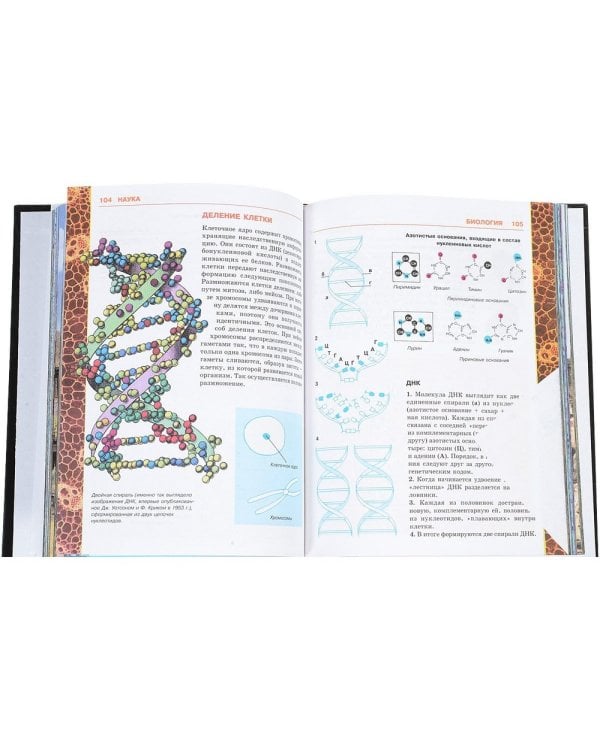 Иллюстрированная энциклопедия школьника