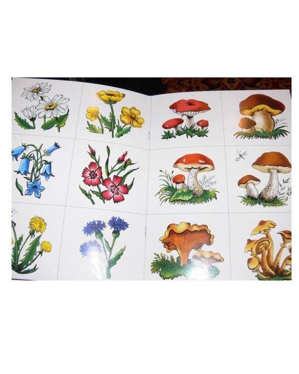 Что лежит в лукошке?