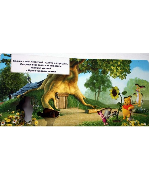 Мои друзья Тигруля и Винни. Солнечный цветок