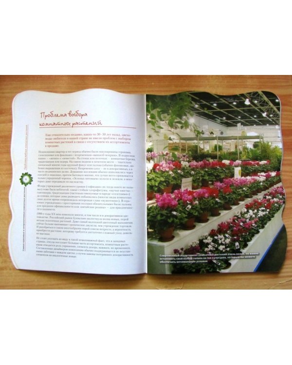 Самые красивые и неприхотливые комнатные растения / Волкова Е.