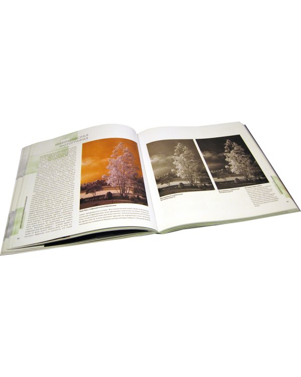 Черно-белая цифровая фотография. Профессиональное практическое руководство по созданию стильных творческих фотографий в самом интеллектуальном жанре современного фотоискусства