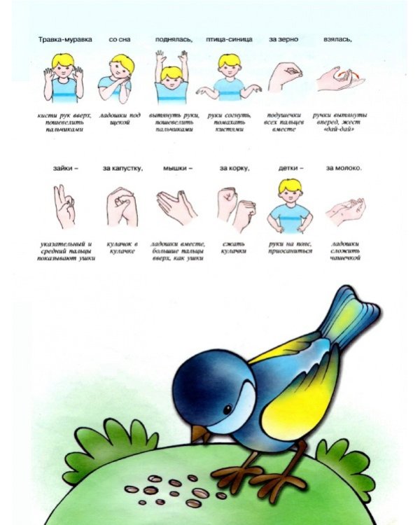 Здравствуй, пальчик