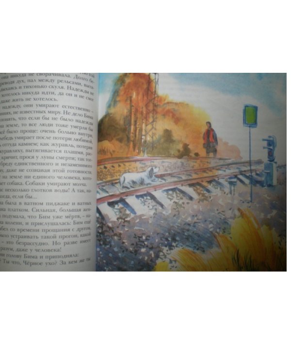 Белый Бим Чёрное ухо