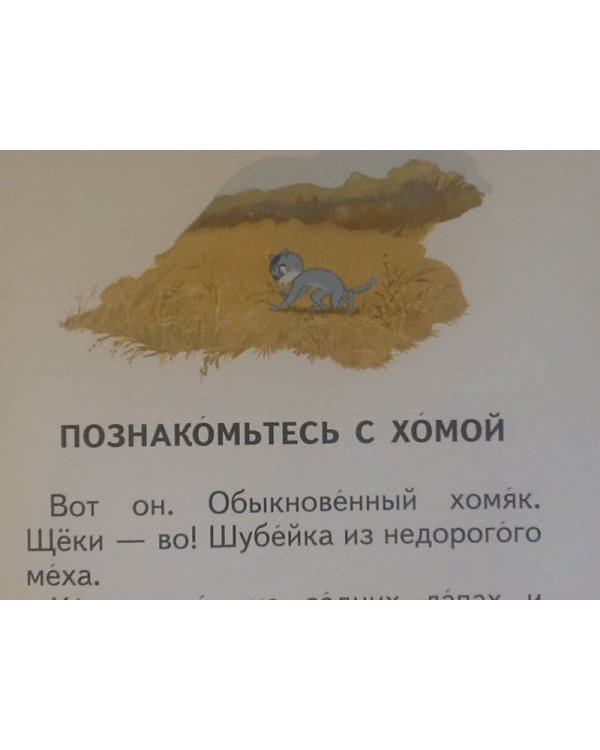 Приключения Хомы и Суслика