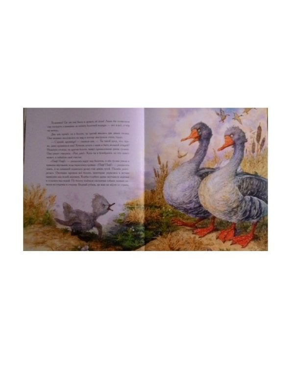 Гадкий утенок (иллюстр Ломаева А.)