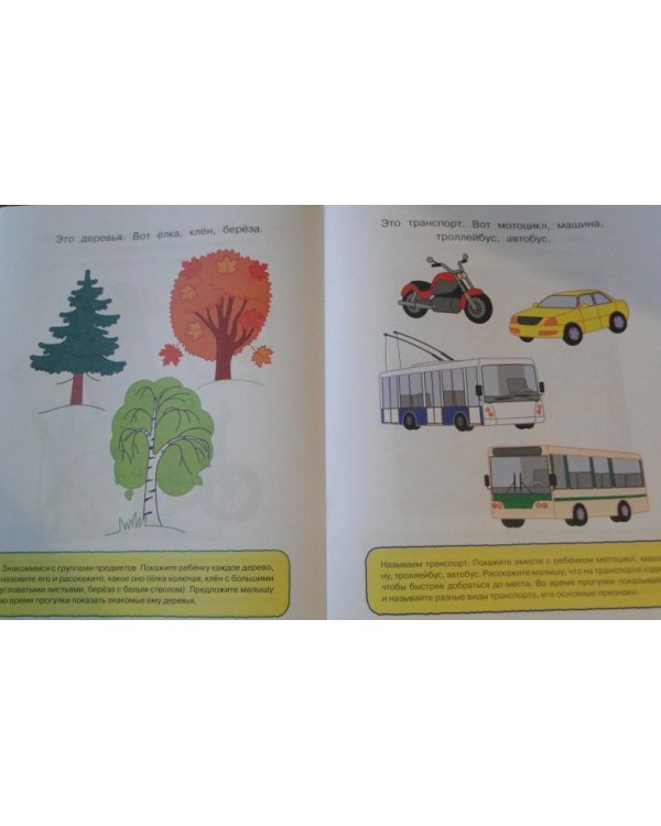 Что нас окружает.1-2 г.Познаем мир