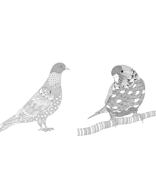 В царстве животных. Книга для творчества и вдохновения