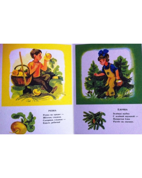 Краски радуги