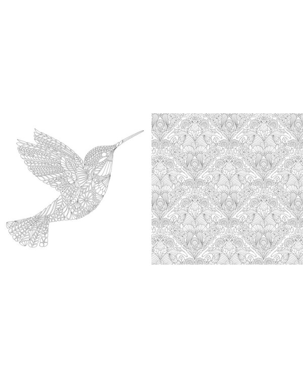 Дивные птицы. Книга для творчества и вдохновения