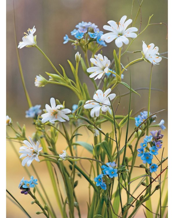 Весенние цветы из полимерной глины.Поробные мастер-классы