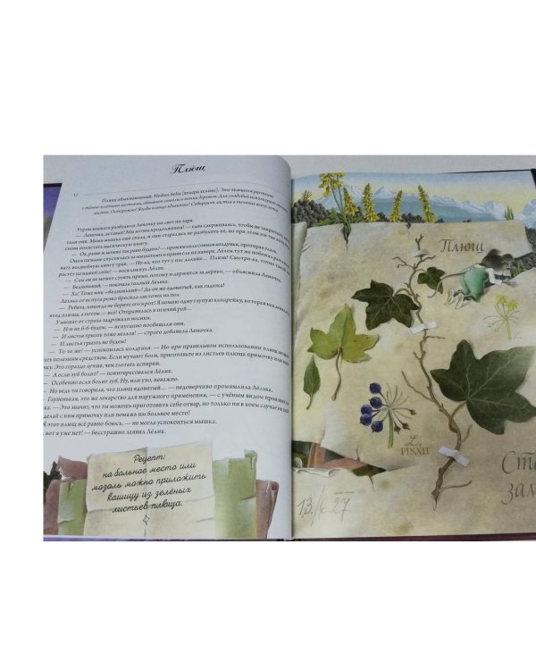 Волшебная книга полезных трав