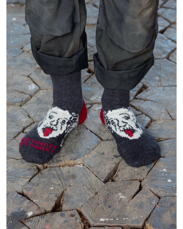 Энциклопедия мужских носков.Вяжем спицами.Более 20 моделей