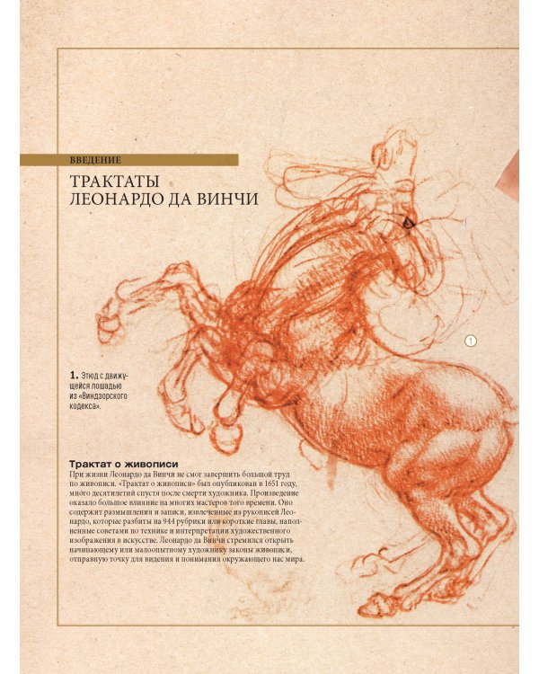 Рисуем с Леонардо да Винчи:Секреты великого мастера