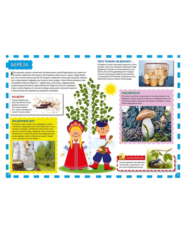 Растения России. Энциклопедия для детей