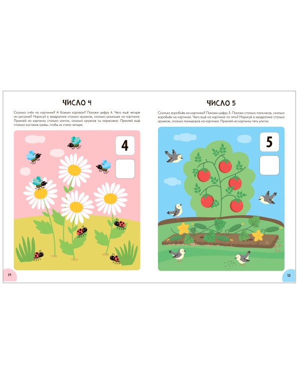 Счет,форма,величина