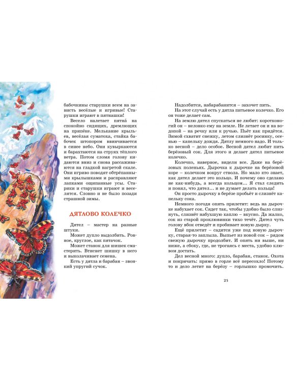 Лесные тайнички