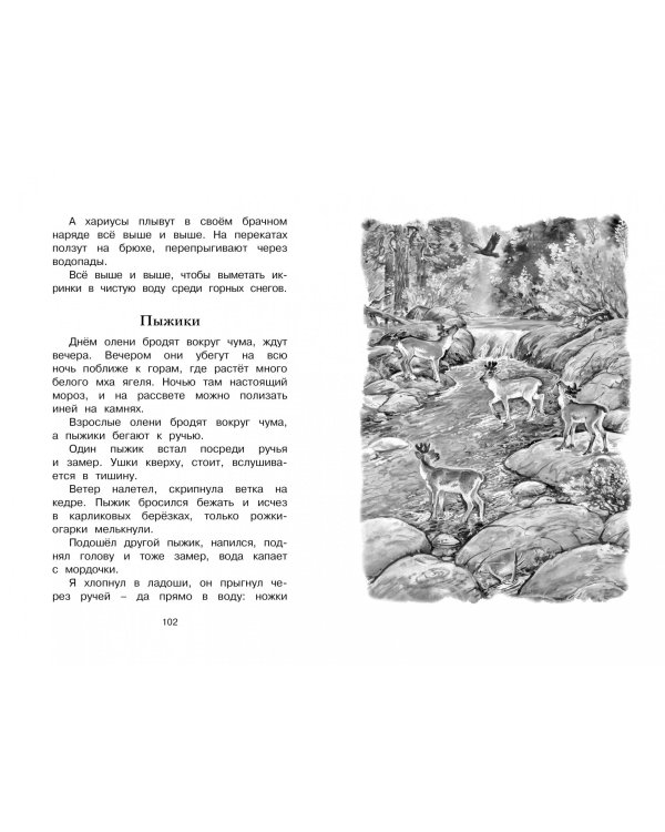 Беспокойный хвостик