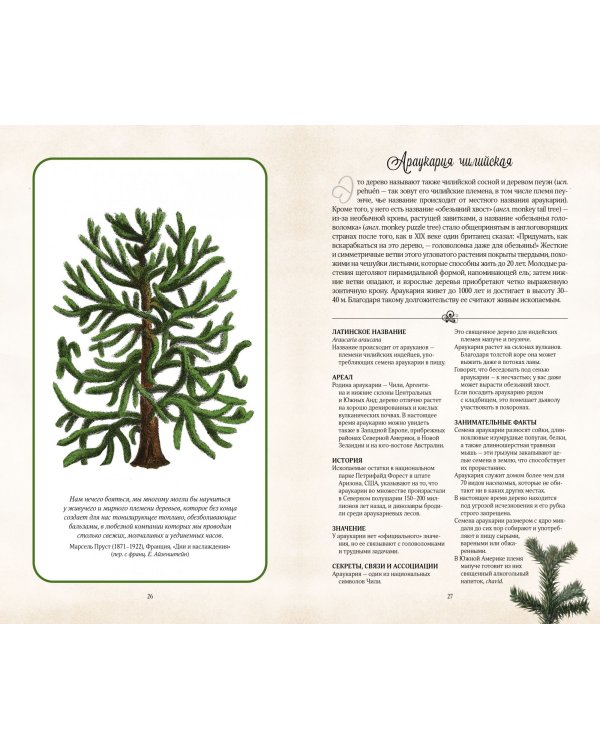 Тайный язык деревьев