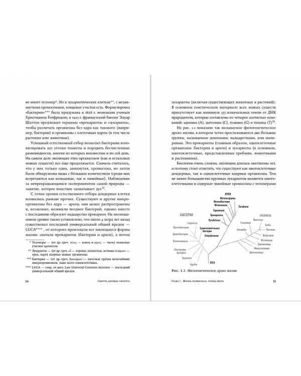 Смерть должна умереть.Наука в борьбе за наше бессмертие(белая обл.)