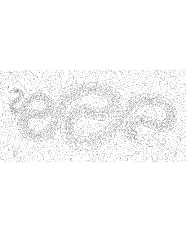 В волшебном лесу.Книга для творчества и вдохновения (0+)