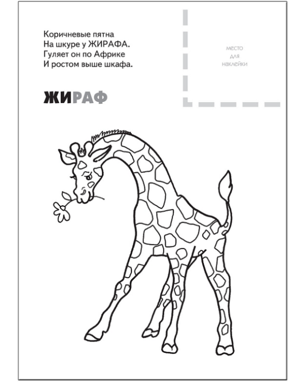 Животные жарких стран