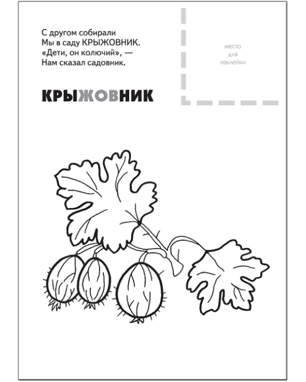 Раскраска с наклейками. Ягоды