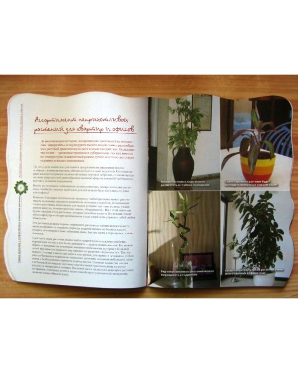 Самые красивые и неприхотливые комнатные растения / Волкова Е.