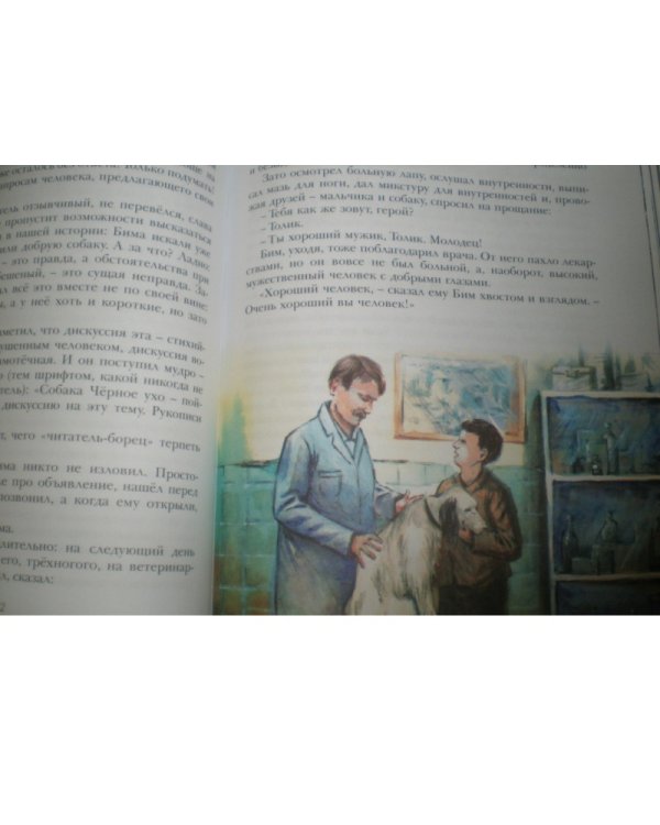 Белый Бим Чёрное ухо