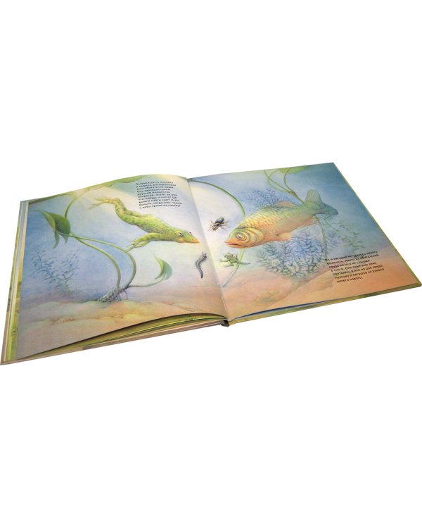 Зимние сказки. Комплект из трех новогодних сказок (количество томов: 3)