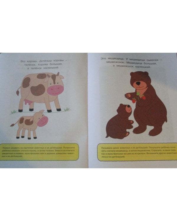 Что нас окружает.1-2 г.Познаем мир